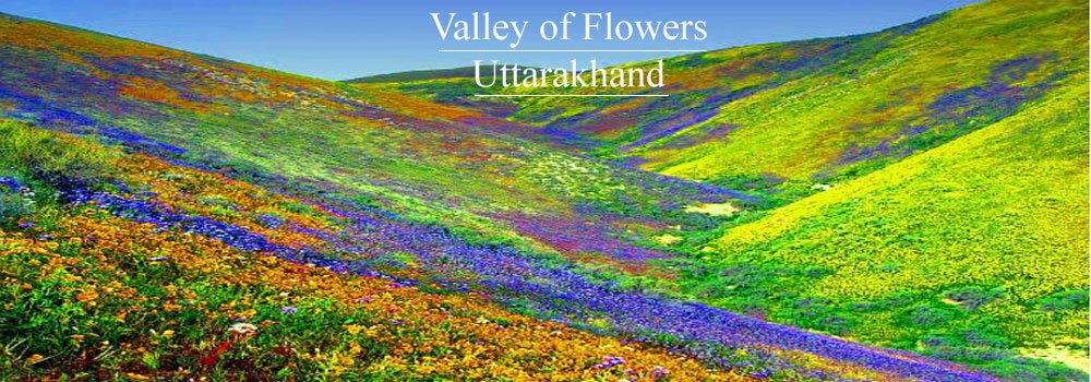 Valley of Flowers Valley of Flowers
